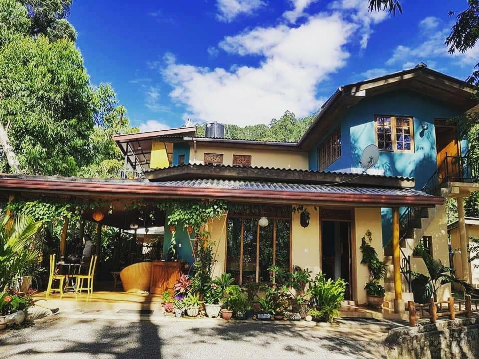 Waterfalls Homestay Ella Exterior foto